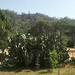 比鲁尔旅馆 3*
