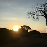 比鲁尔旅馆 Çıralı