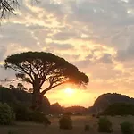 比鲁尔旅馆 3* Çıralı