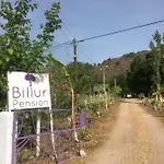 酒店 比鲁尔旅馆