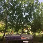 比鲁尔旅馆 Çıralı
