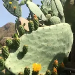 比鲁尔旅馆