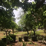 比鲁尔旅馆 酒店 Çıralı