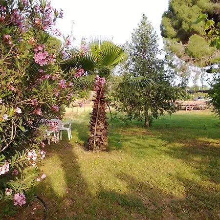 Billur Pension Guest house