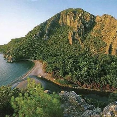 Billur Pension *