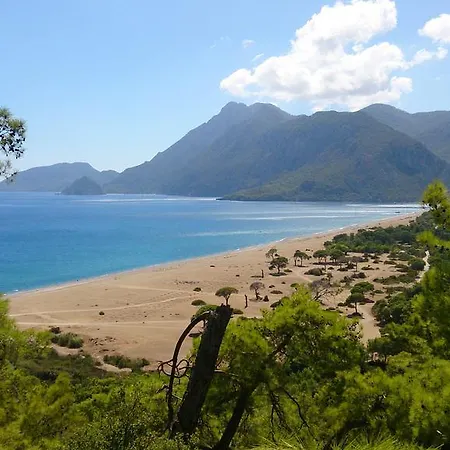 Billur Pension *