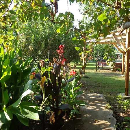 Billur Pension Guest house