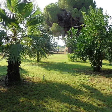 Guest house Billur Pension Cirali