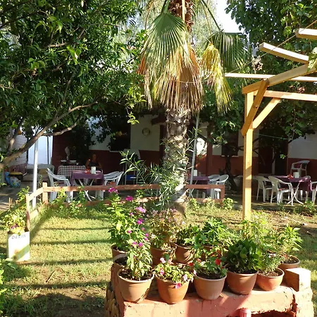 Billur Pension Cirali