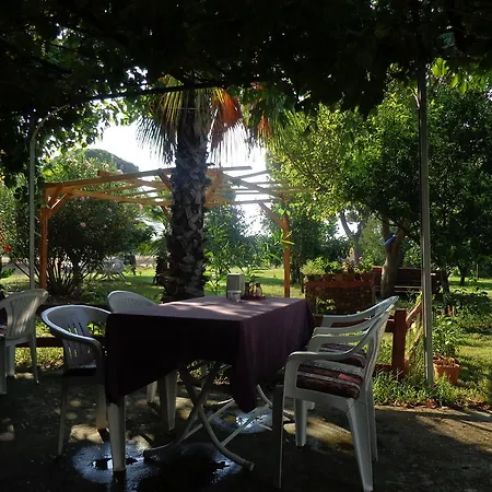 Billur Pension *