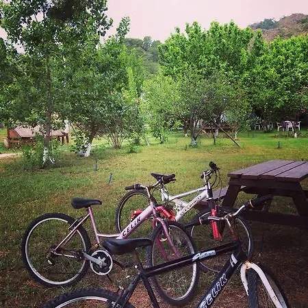 Billur Pension Cirali