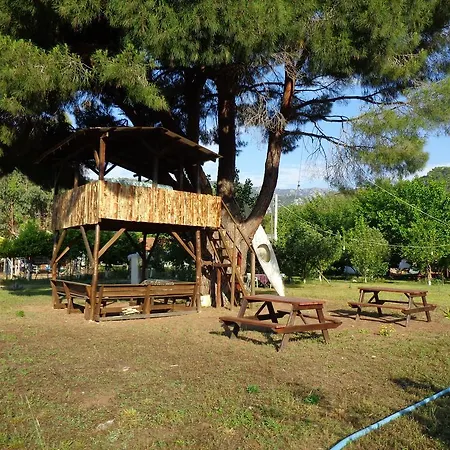 Billur Pension *
