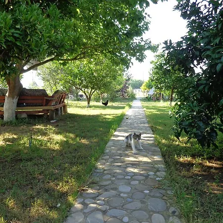 Guest house Billur Pension Cirali