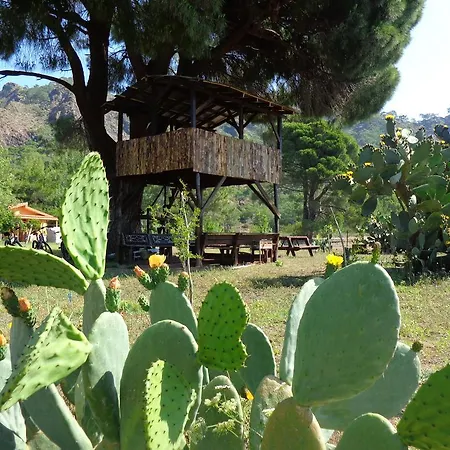 Guest house Billur Pension