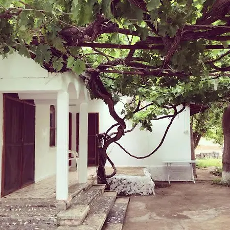 Guest house Billur Pension Cirali
