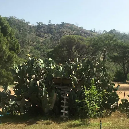 Billur Pension *