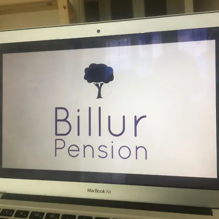 Guest house Billur Pension *