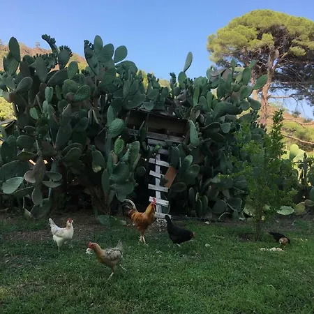 Guest house Billur Pension Cirali