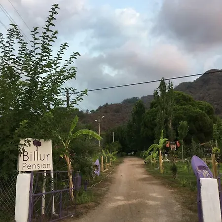 Billur Pension