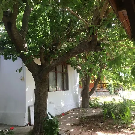 Guest house Billur Pension Cirali