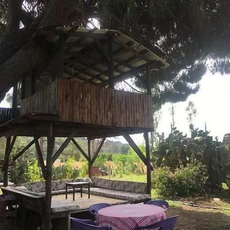 Billur Pension Guest house *