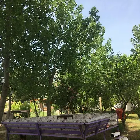 Billur Pension *