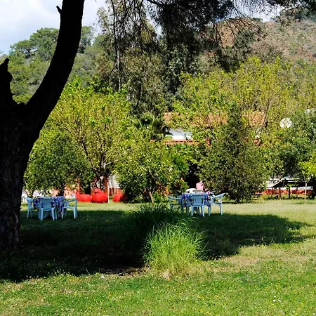 Billur Pension Çıralı