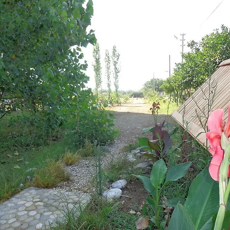 Szálloda Billur Çıralı