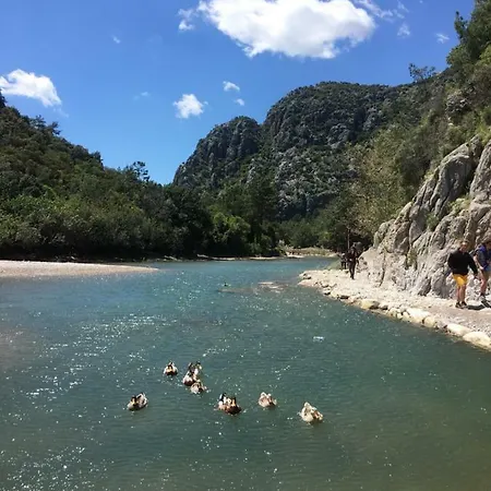 Pensionat Billur Pension Çıralı