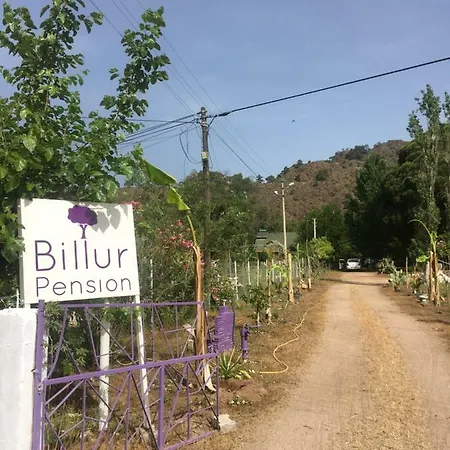 Szálloda Billur