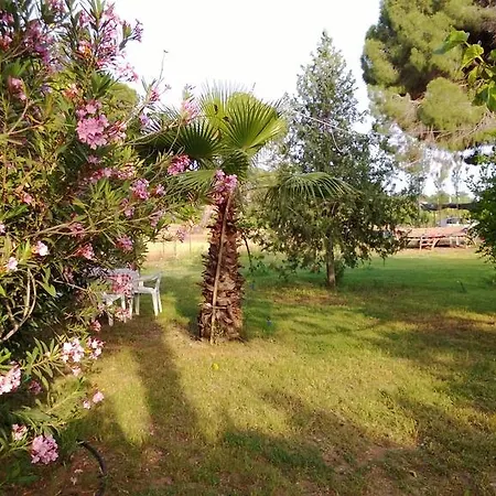 Billur Pension Hotel