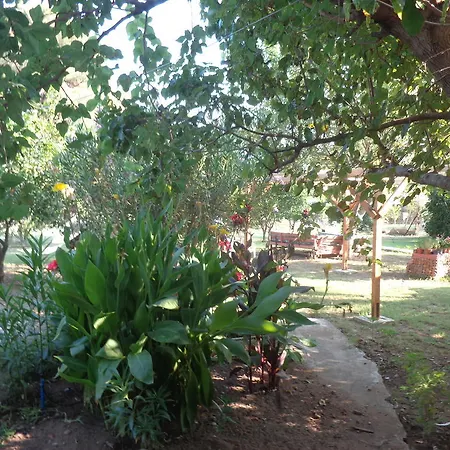 Billur Pension Hotel 3*