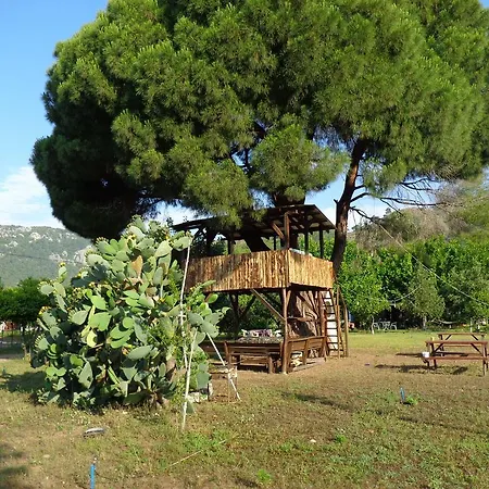 Billur Pension Hotel Çıralı