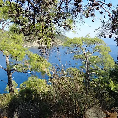 Billur Pension Çıralı