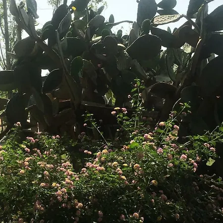 Hotel Billur Pension 3*