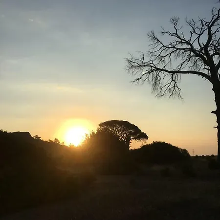 Billur Pension Çıralı