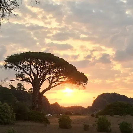 Billur Pension 3* Çıralı