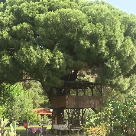 Billur Pension Çıralı