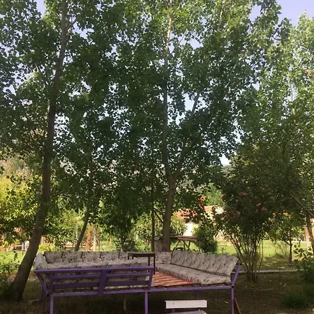 Billur Pension Çıralı