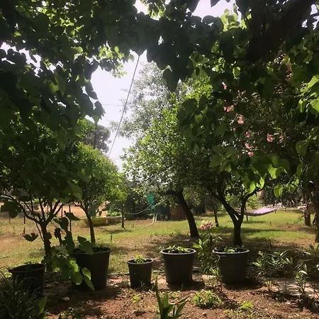 Billur Pension Hotel Çıralı