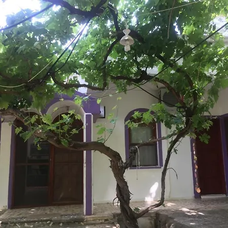 Billur Pension 3* Çıralı