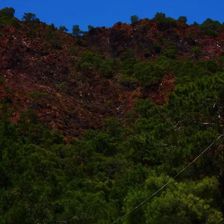 Billur Pension Hotel 3*