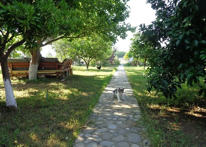 Otel Billur Pension Çıralı