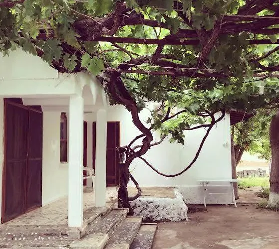 Otel Billur Pension Çıralı