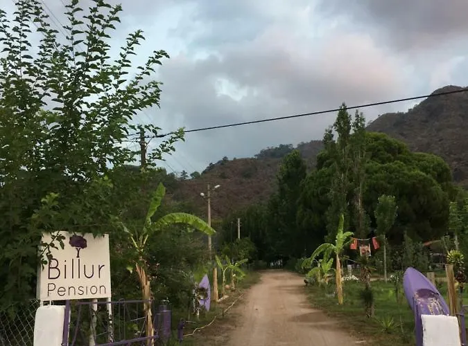 Billur Pension