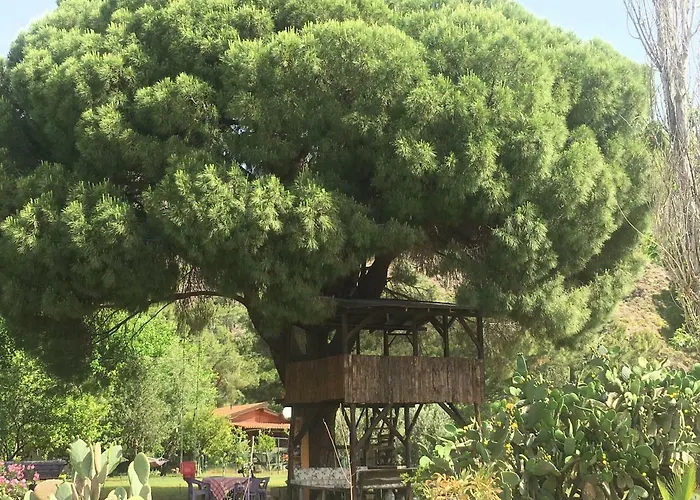 Billur Pension Çıralı